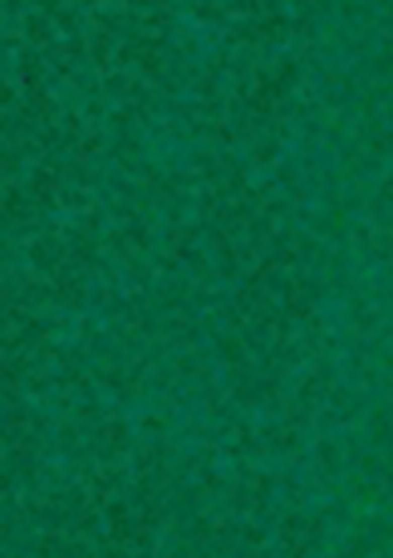 Green Embroidered Silk Sherwani for Men